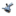 paanjo.in